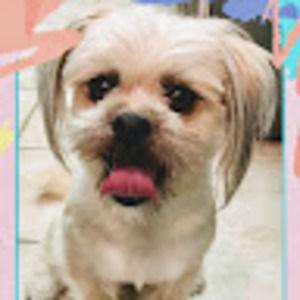 Meet your Posher, Sian